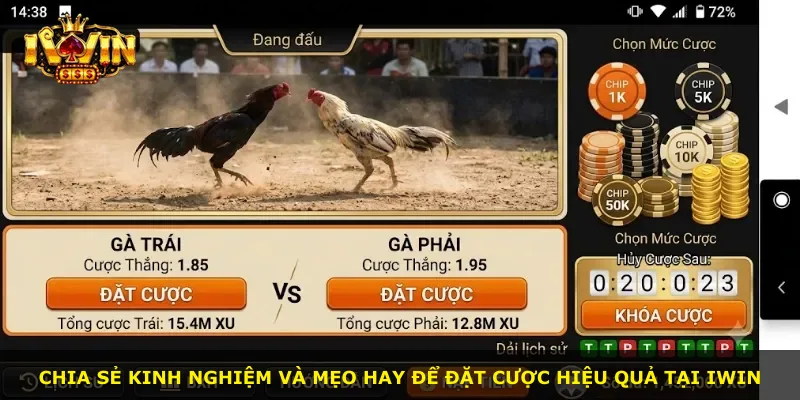 Chia sẻ kinh nghiệm và mẹo hay để đặt cược hiệu quả tại iWin