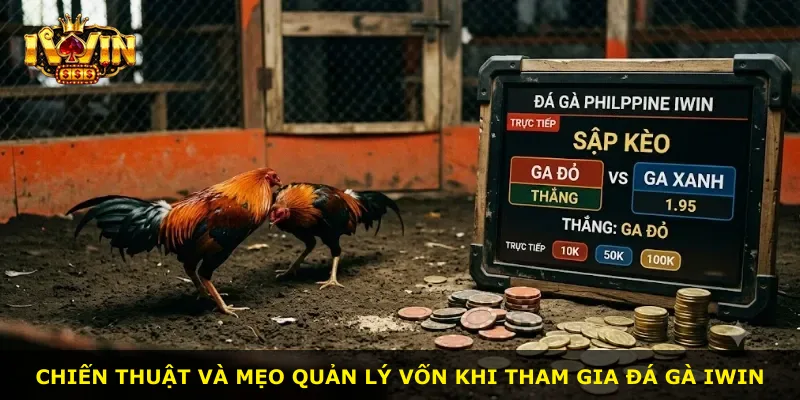 Chiến thuật và mẹo quản lý vốn khi tham gia đá gà iWin