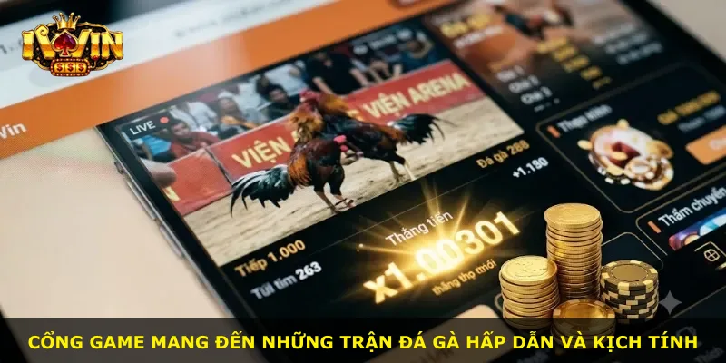 Cổng game mang đến những trận đá gà hấp dẫn và kịch tính