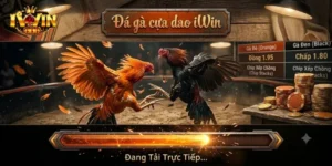 Đá Gà Cựa Dao IWin Đấu Trường Kịch Tính Cho Anh Em Đam Mê Cá Cược
