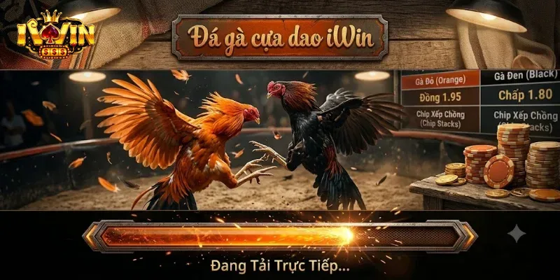 Đá Gà Cựa Dao IWin Đấu Trường Kịch Tính Cho Anh Em Đam Mê Cá Cược