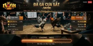 Đá Gà Cựa Sắt IWin Hấp Dẫn, Cược Dễ Chơi Thưởng Lớn Mỗi Ngày