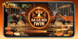 Đá Gà Nòi IWin Kịch Tính, Thưởng Lớn Cho Anh Em Mê Cá Cược