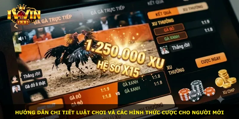 Hướng dẫn chi tiết luật chơi và các hình thức cược cho người mới