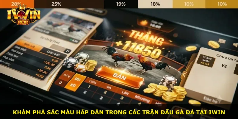 Khám phá sắc màu hấp dẫn trong các trận đấu gà đá tại iWin