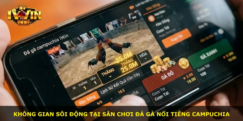 Không gian sôi động tại sân chơi đá gà nổi tiếng Campuchia