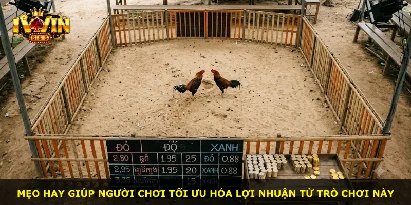 Mẹo hay giúp người chơi tối ưu hóa lợi nhuận từ trò chơi này