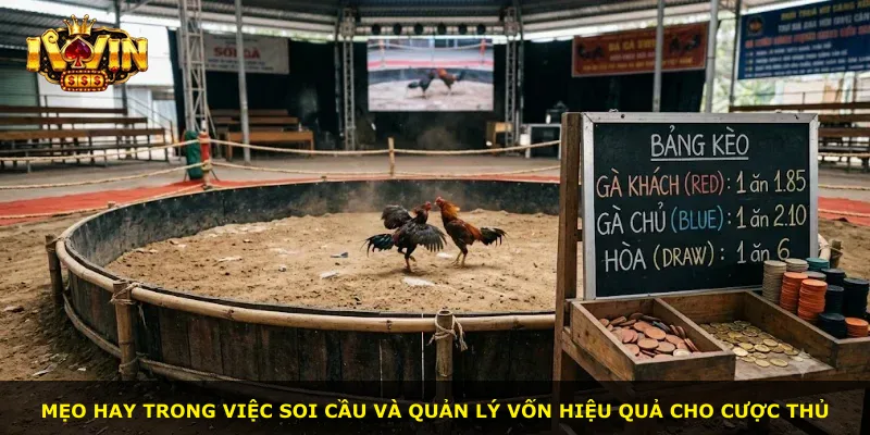 Mẹo hay trong việc soi cầu và quản lý vốn hiệu quả cho cược thủ
