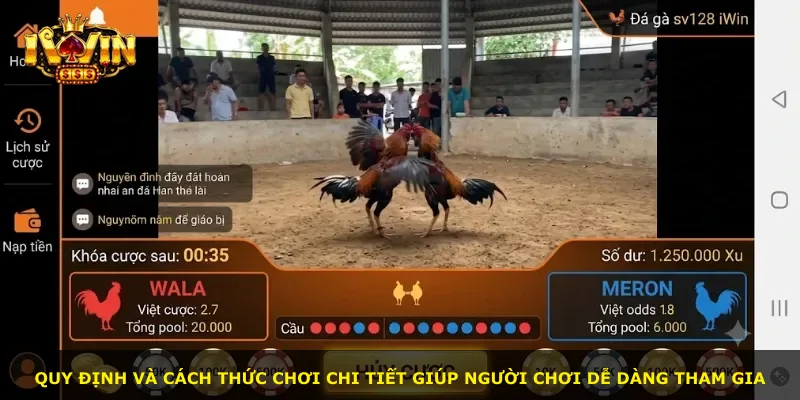 Quy định và cách thức chơi chi tiết giúp người chơi dễ dàng tham gia
