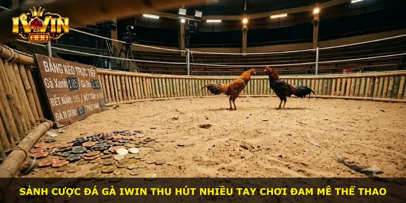 Sảnh cược đá gà iWin thu hút nhiều tay chơi đam mê thể thao