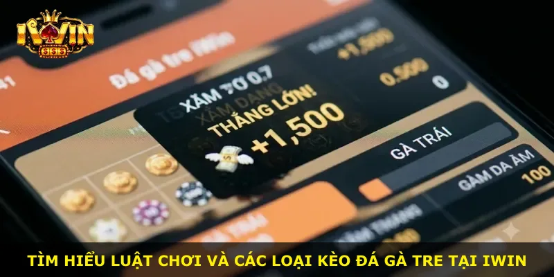 Tìm hiểu luật chơi và các loại kèo đá gà tre tại iWin