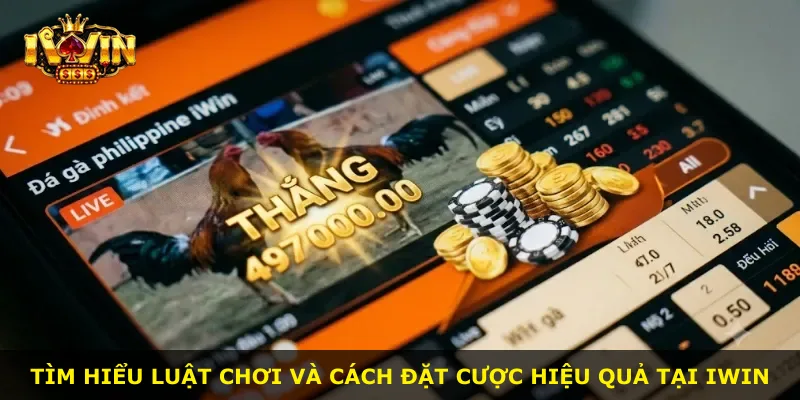 Tìm hiểu luật chơi và cách đặt cược hiệu quả tại iWin