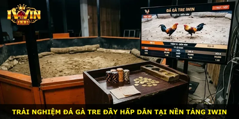 Trải nghiệm đá gà tre đầy hấp dẫn tại nền tảng iWin