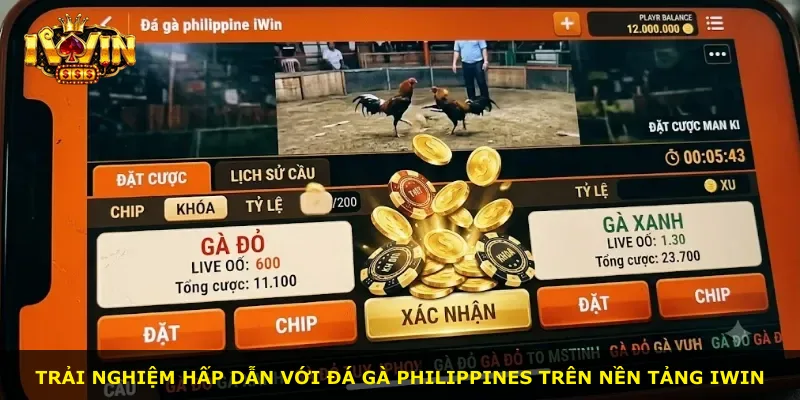 Trải nghiệm hấp dẫn với đá gà Philippines trên nền tảng iWin