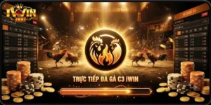 Trực Tiếp Đá Gà C3 IWin Cực Chất, Trải Nghiệm Kịch Tính Mỗi Ngày